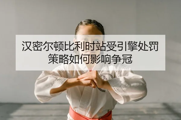 汉密尔顿比利时站受引擎处罚 策略如何影响争冠